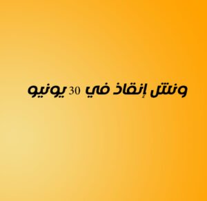 ونش إنقاذ في 30 يونيو